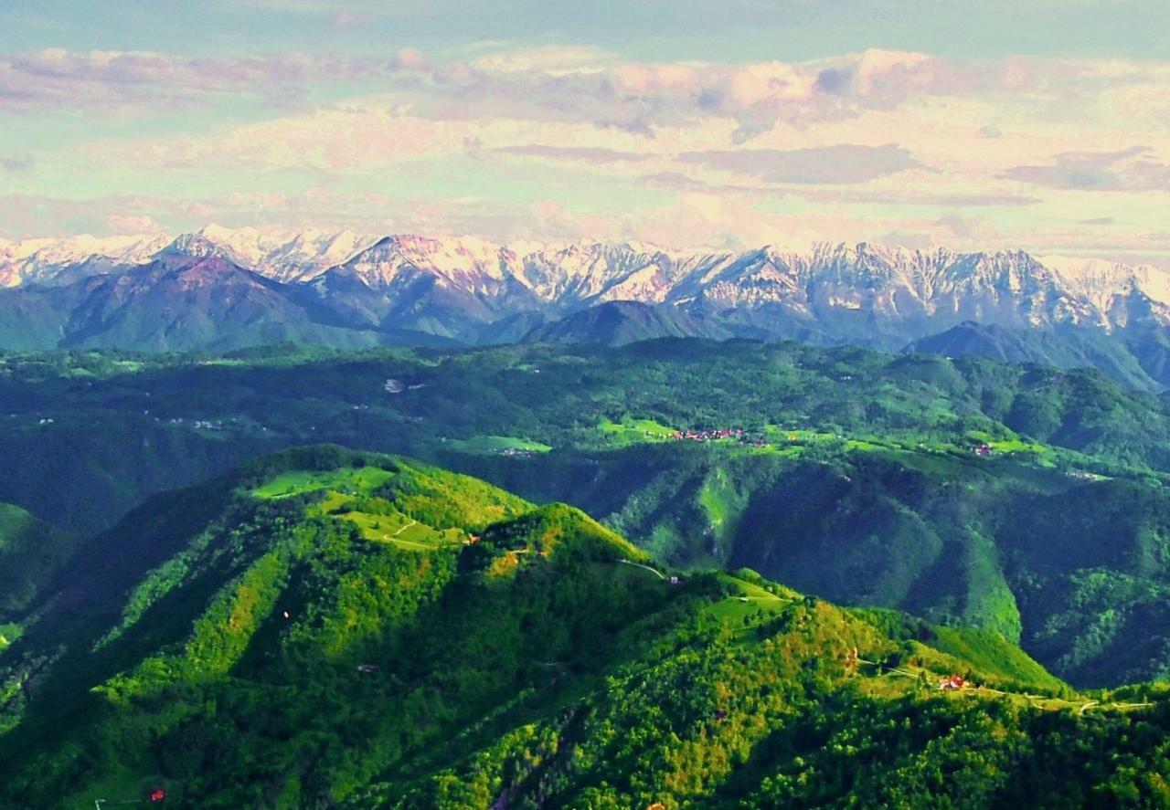 Apartma Alpski Vrt Vojsko Luaran gambar