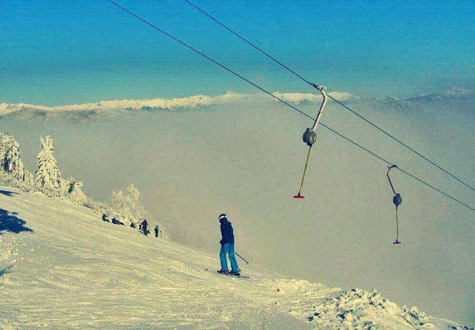 Apartma Alpski Vrt Vojsko Luaran gambar