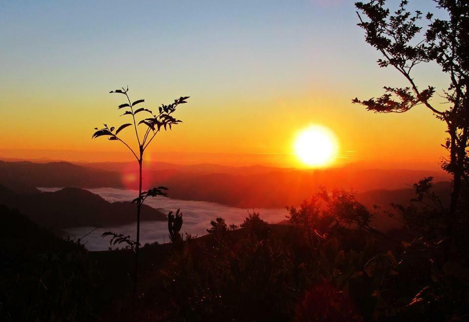 Apartma Alpski Vrt Vojsko Luaran gambar